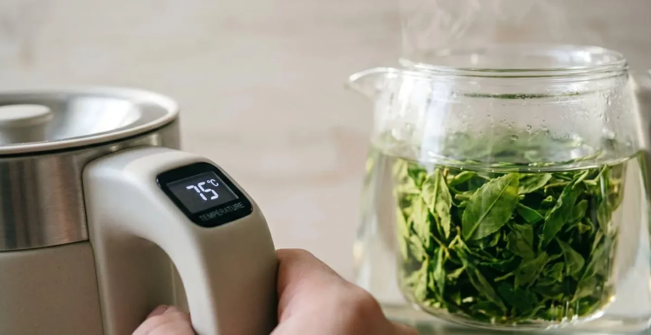 Écran digital de machine à thé affichant 75 degrés Celsius avec panier infuseur transparent contenant du thé vert sencha en arrière-plan